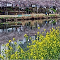 釜山東萊溫泉市民公園-2024-03-31-19.jpg