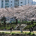 釜山東萊溫泉市民公園-2024-03-31-20.jpg