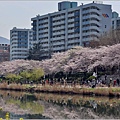 釜山東萊溫泉市民公園-2024-03-31-22.jpg