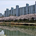 釜山東萊溫泉市民公園-2024-03-31-21.jpg