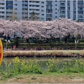 釜山東萊溫泉市民公園-2024-03-31-23.jpg