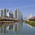 釜山東萊溫泉市民公園-2024-03-31-25.jpg