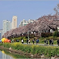 釜山東萊溫泉市民公園-2024-03-31-26.jpg