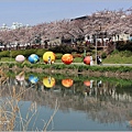 釜山東萊溫泉市民公園-2024-03-31-31.jpg