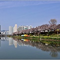 釜山東萊溫泉市民公園-2024-03-31-29.jpg
