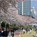 釜山東萊溫泉市民公園-2024-03-31-40.jpg