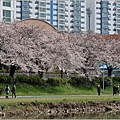 釜山東萊溫泉市民公園-2024-03-31-42.jpg