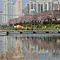 釜山東萊溫泉市民公園-2024-03-31-45.jpg