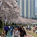 釜山東萊溫泉市民公園-2024-03-31-44.jpg