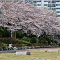釜山東萊溫泉市民公園-2024-03-31-47.jpg