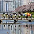 釜山東萊溫泉市民公園-2024-03-31-46.jpg