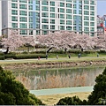 釜山東萊溫泉市民公園-2024-03-31-49.jpg