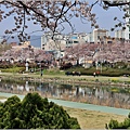 釜山東萊溫泉市民公園-2024-03-31-50.jpg