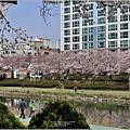 釜山東萊溫泉市民公園-2024-03-31-58.jpg