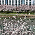 釜山東萊溫泉市民公園-2024-03-31-60.jpg