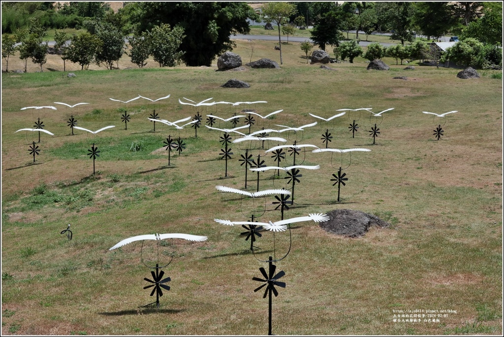 縱谷大地藝術季 白色飛翔-2024-07-07-04.jpg