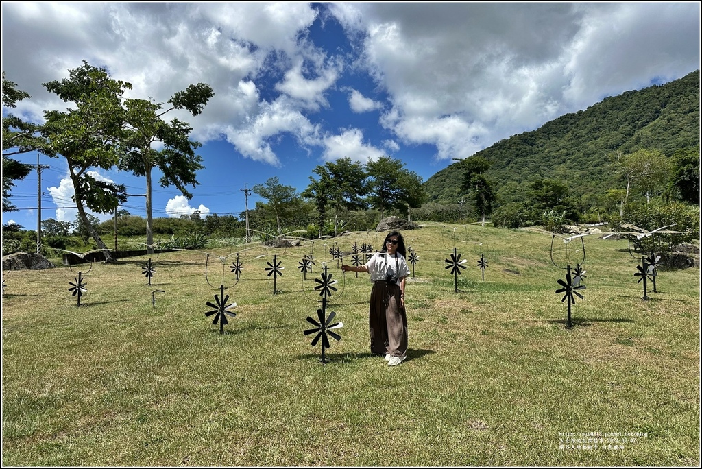 縱谷大地藝術季 白色飛翔-2024-07-07-12.jpg