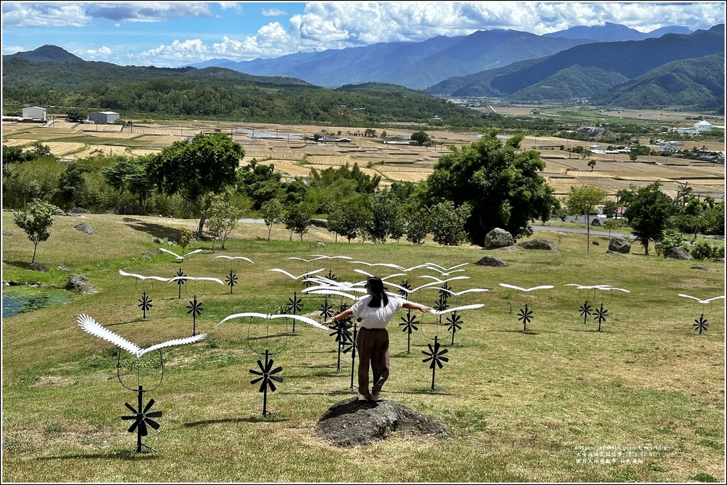 縱谷大地藝術季 白色飛翔-2024-07-07-11.jpg