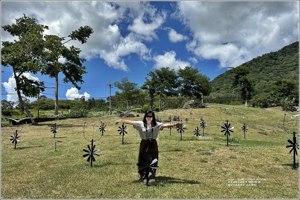 縱谷大地藝術季 白色飛翔-2024-07-07-13.jpg