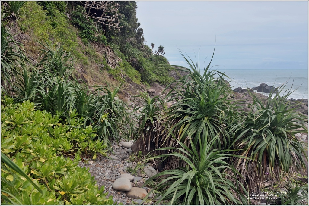 琅嶠卑南古道(阿塱壹古道)-2024-09-21-58.jpg