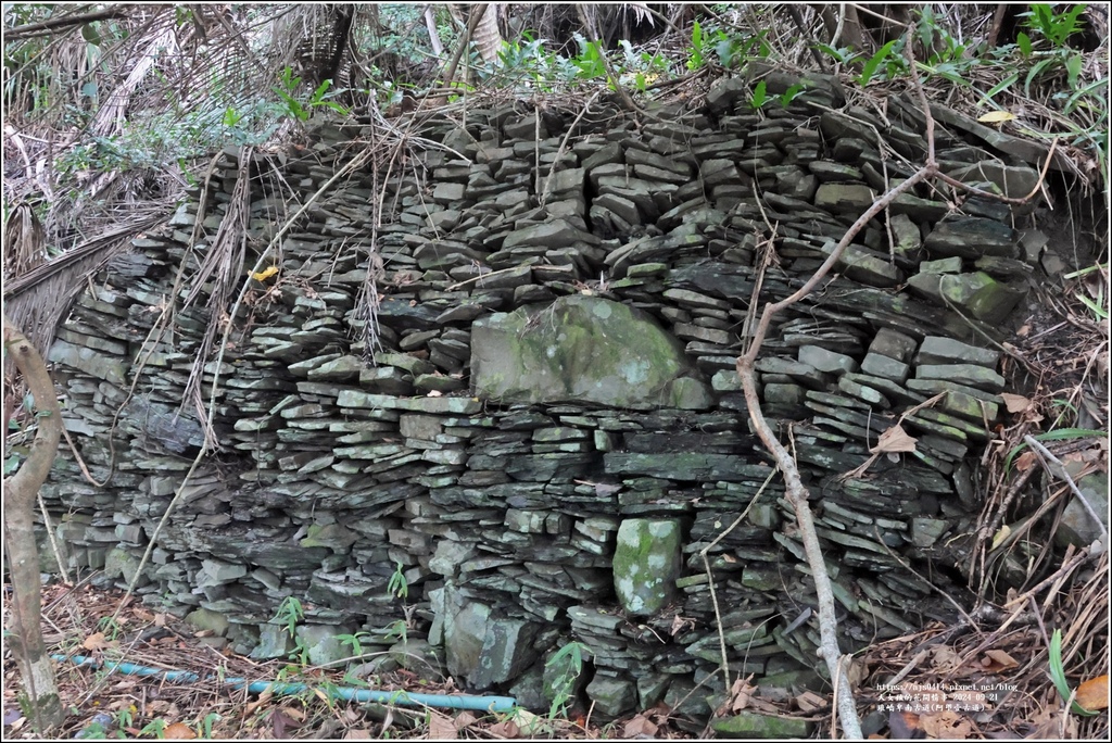 琅嶠卑南古道(阿塱壹古道)-2024-09-21-69.jpg