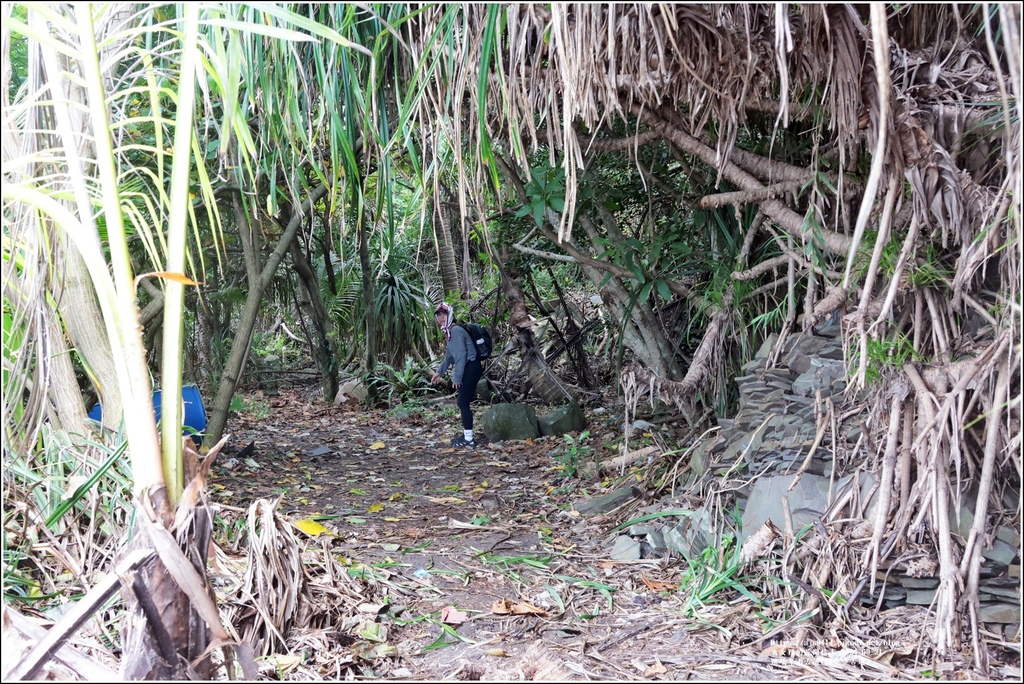 琅嶠卑南古道(阿塱壹古道)-2024-09-21-68.jpg
