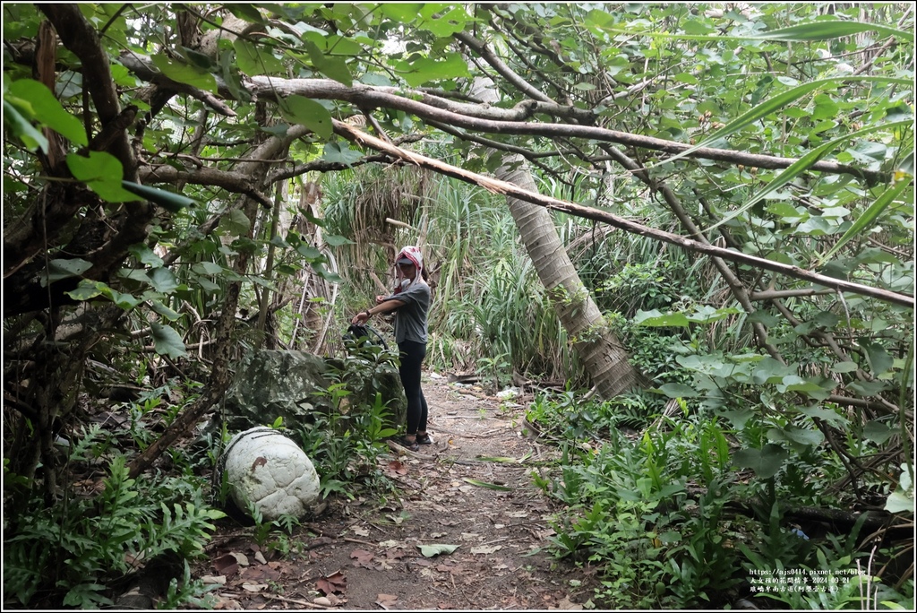琅嶠卑南古道(阿塱壹古道)-2024-09-21-71.jpg