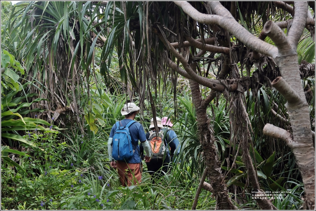 琅嶠卑南古道(阿塱壹古道)-2024-09-21-75.jpg
