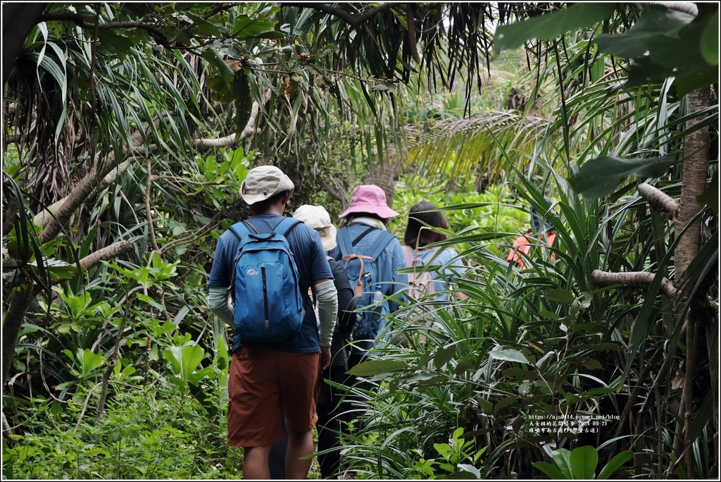 琅嶠卑南古道(阿塱壹古道)-2024-09-21-76.jpg