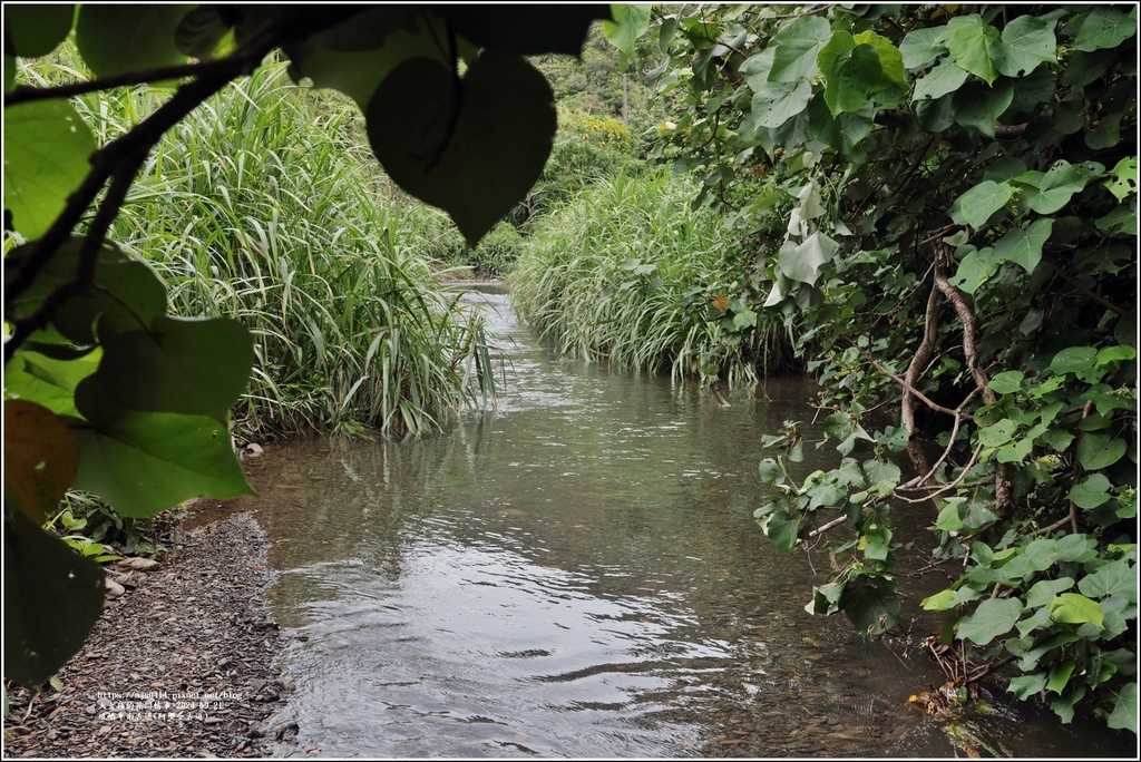 琅嶠卑南古道(阿塱壹古道)-2024-09-21-86.jpg