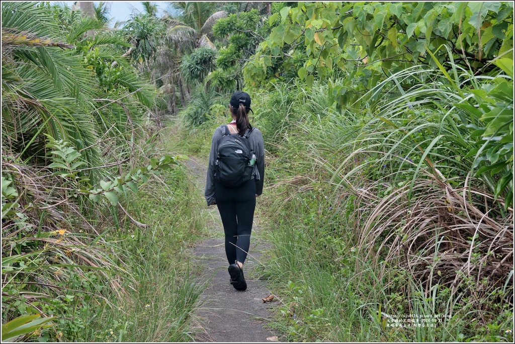琅嶠卑南古道(阿塱壹古道)-2024-09-21-91.jpg