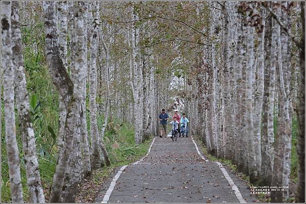 大農大富平地森林(南環楓業自行車道)-2024-11-20-01.jpg