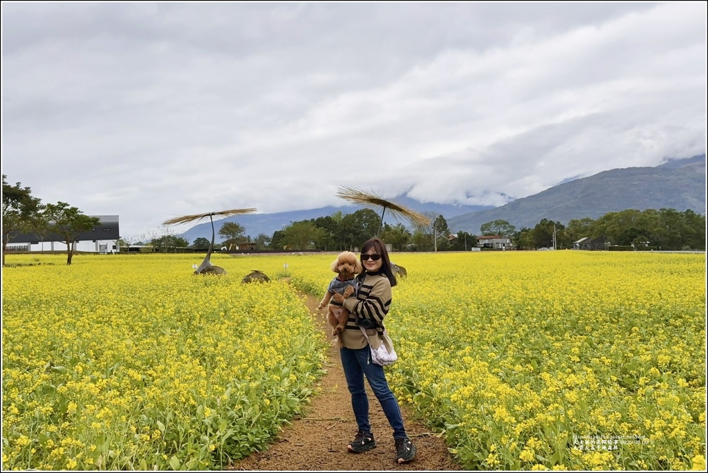 大農大富平地森林油菜花海-2025-02-09-51.jpg 大農大富平地森林油菜花海-2025-02-09-51.jpg