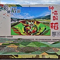 關山神喵報稻-2025-06-01-02.jpg