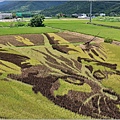 關山神喵報稻-2025-06-01-04.jpg