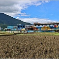 關山神喵報稻-2025-06-01-11.jpg