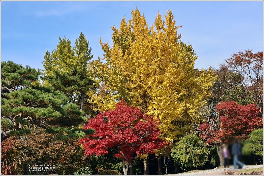 釜山慶州佛國寺楓紅-2025-11-06-85.jpg