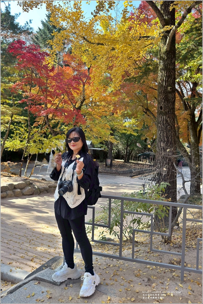 釜山慶州佛國寺楓紅-2025-11-06-118.jpg
