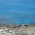 海岸邊的珊瑚礁