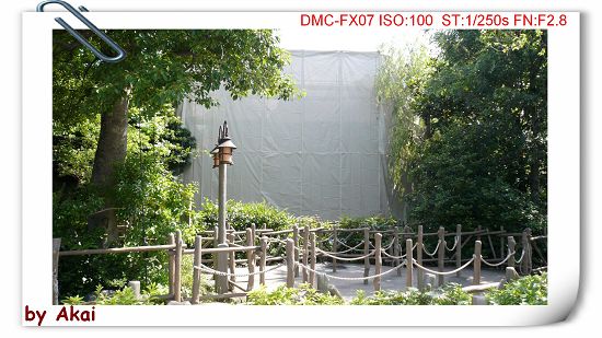 okP1020309(001)