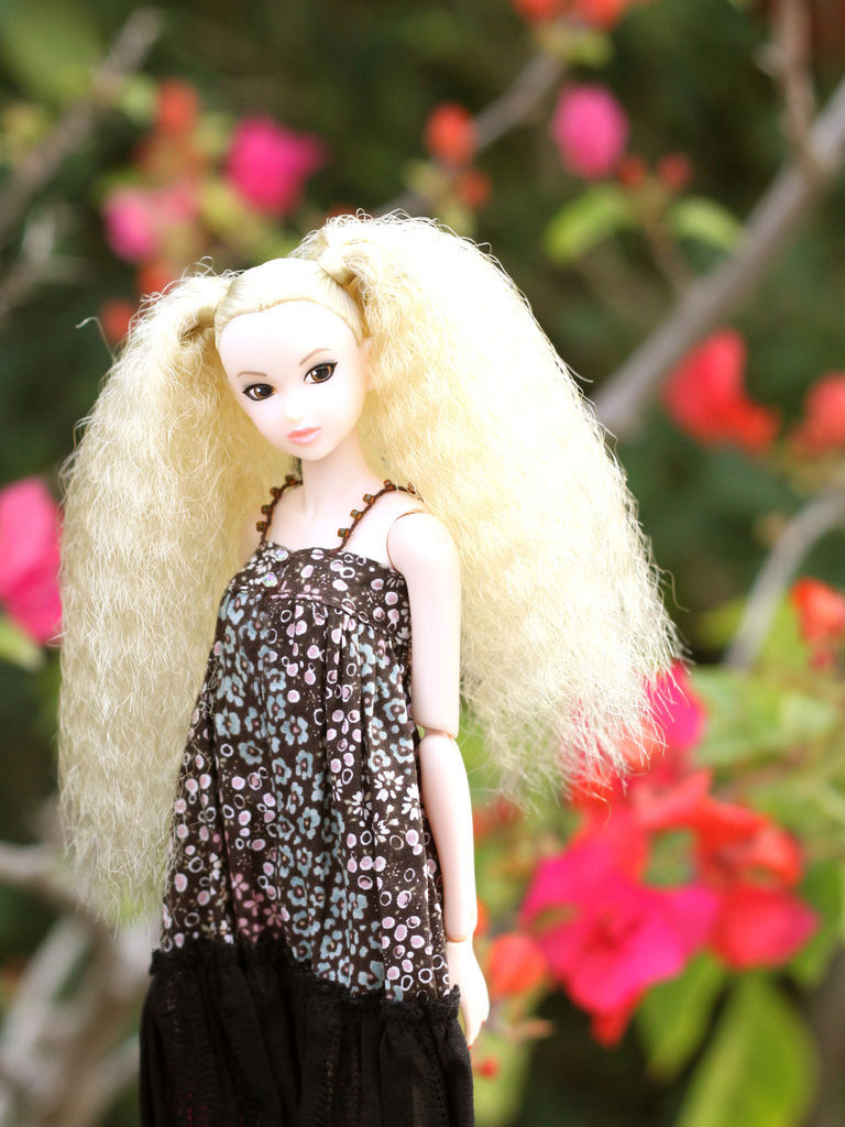 Today's 09AW Today's 09AW