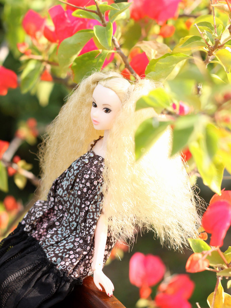 Today's 09AW Today's 09AW