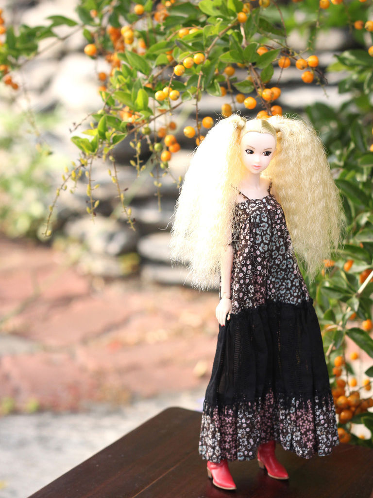 Today's 09AW Today's 09AW