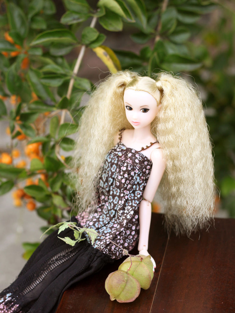 Today's 09AW Today's 09AW