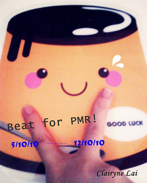 pmr.jpg