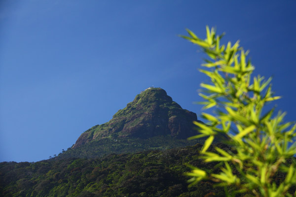 Sri Pada Sri Pada