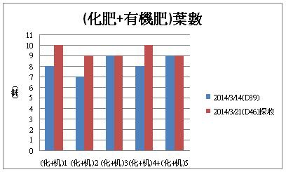 (化肥+有機肥)葉數