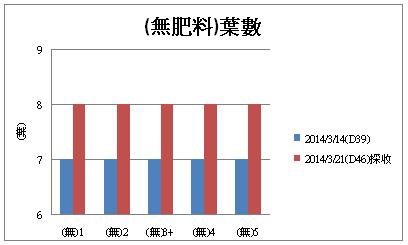 (無肥料)葉數