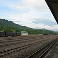 38528533.jpg