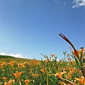 IMG_3303.JPG